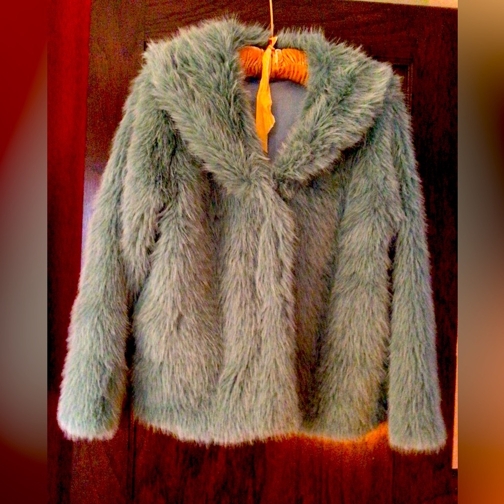 This Muppet masterpiece needs the right home! Mint green faux fur jacket